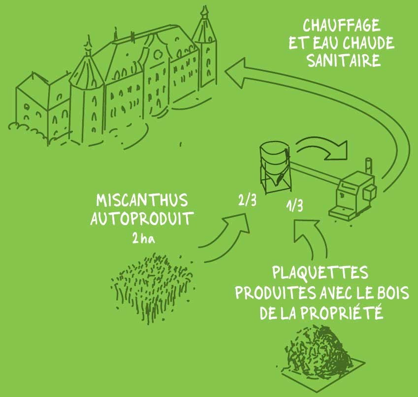 Un château se chauffe au miscanthus